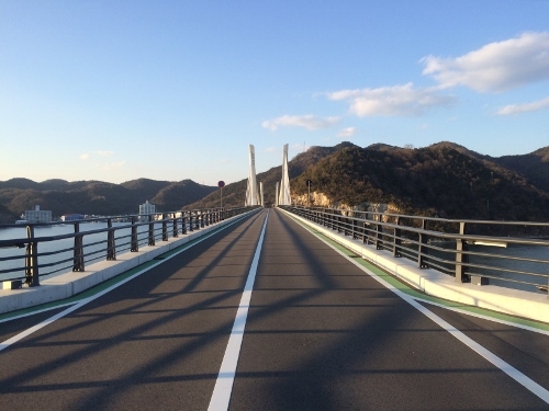 280117_2 (500x375).jpg