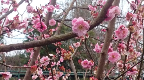 CYMERA_20160331_115109.jpg