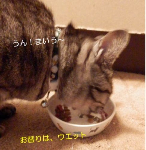 20150108_4.jpg