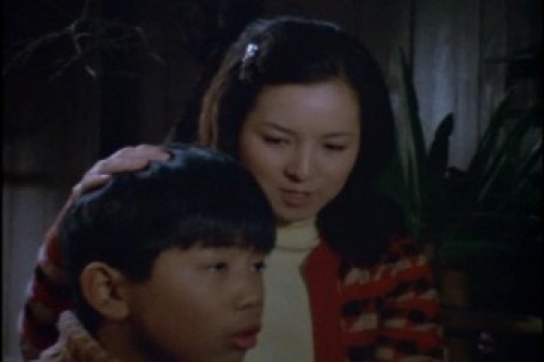 PDVD_006.jpg