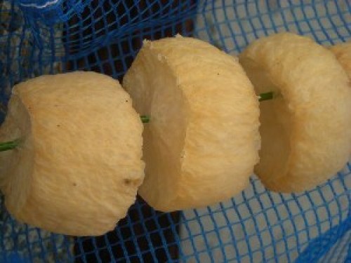 DSCN4189 (300x225).jpg