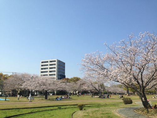 201404151155_4404_iphone.jpg