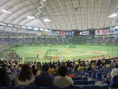 20140105のどごし夢のドリームプロ野球03.jpg