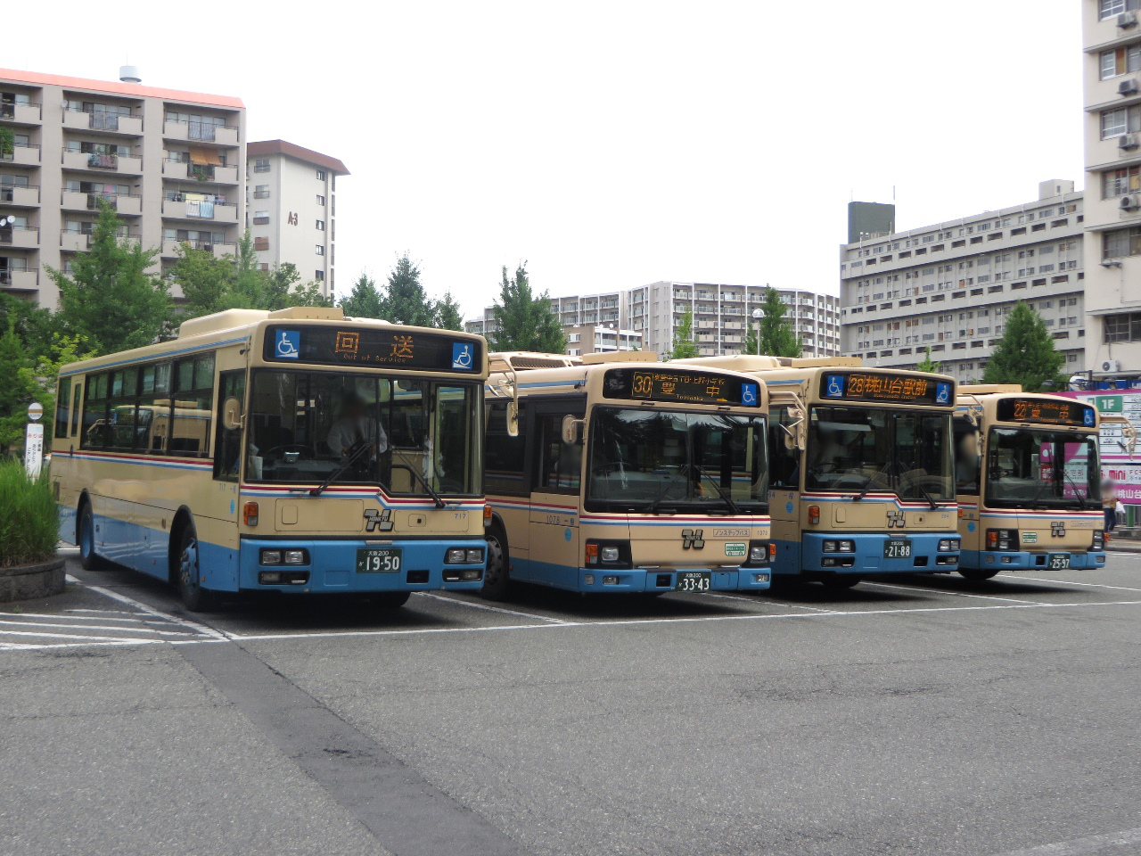 717 1078 264 785.JPG