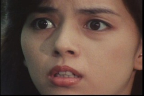 PDVD_042.jpg
