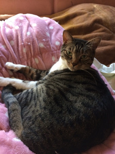 IMG_8404 - コピー.JPG