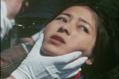 PDVD_003.jpg