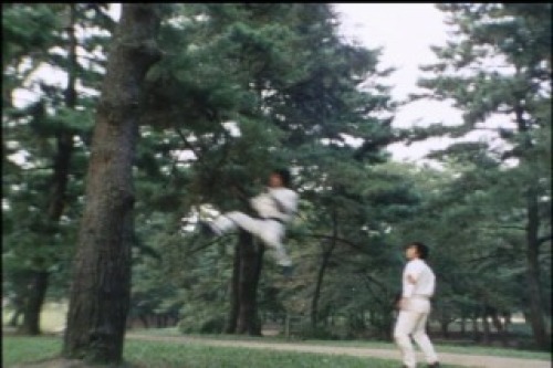 PDVD_019.jpg