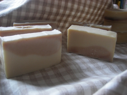 IMGP0041 (800x600).jpg