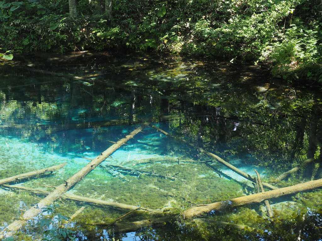 ２０１８ 日本一周 ３３日目 標茶 焚き火人 楽天ブログ