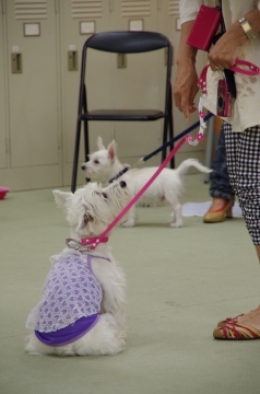 中1IMGP1102.jpg