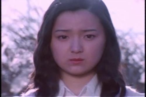 PDVD_008.jpg