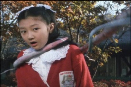 PDVD_022.jpg
