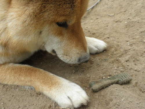 画像 5524.jpg