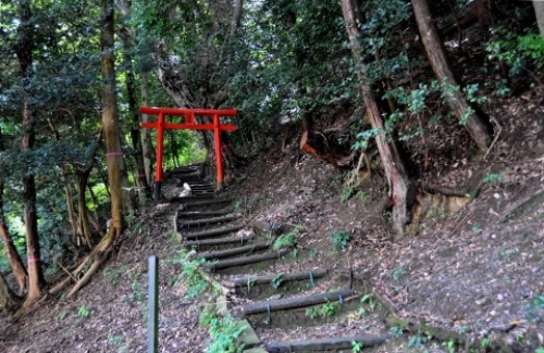 pict-松尾大社 16.jpg