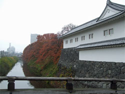 霞城公園19.jpg