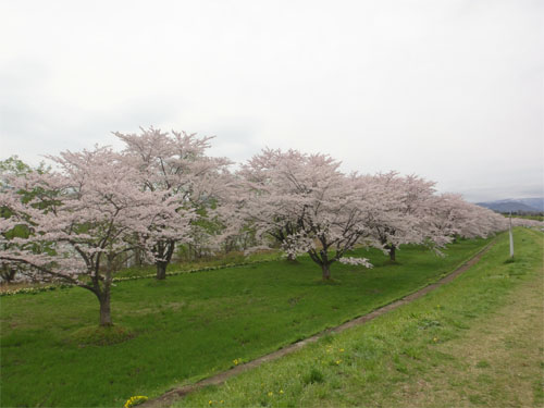 雫石園地4.jpg