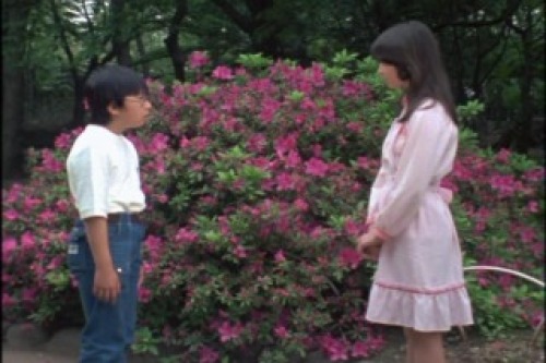 PDVD_008.jpg