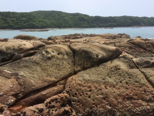 IMG_9687 (640x480).jpg