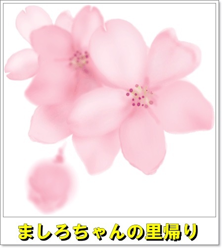 a-ﾀｲﾄﾙ-1029.jpg