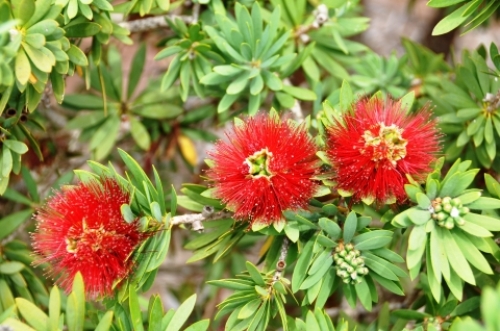 pict-ここはどこ201207 25.jpg