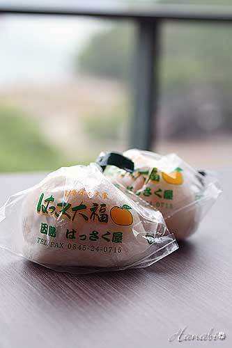 20120602しなまみ09大福.jpg