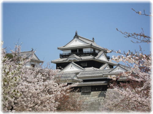 お城と桜.jpg