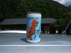 屋久島111.jpg