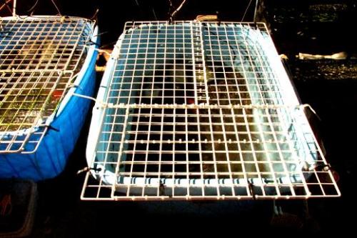 20151122 プラ舟.jpg