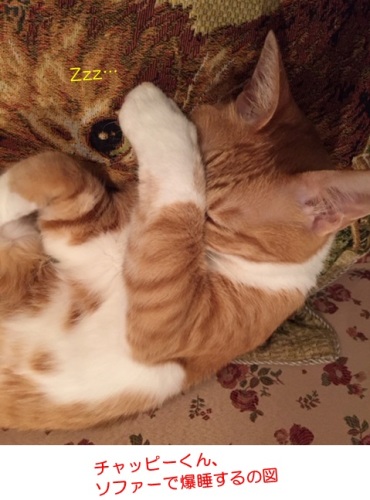 20151003_7.jpg