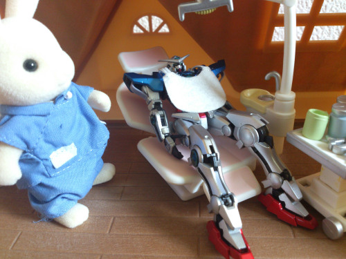 ガンダムシルバニア06