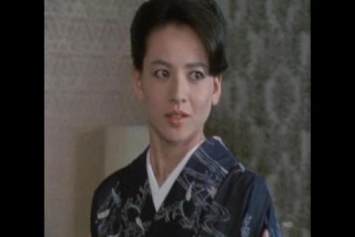 PDVD_034.jpg
