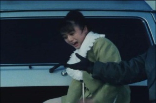 PDVD_240.jpg