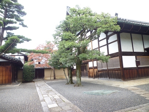 P1030368.jpg