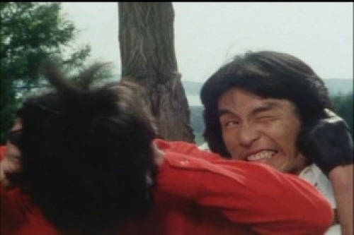 PDVD_020.jpg