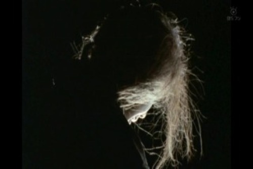 PDVD_014.jpg