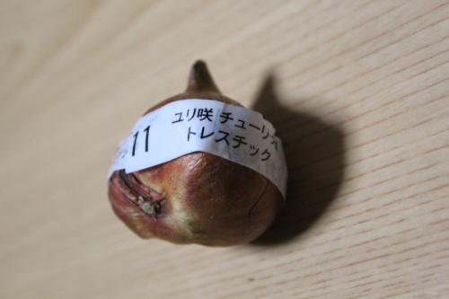 009.JPG