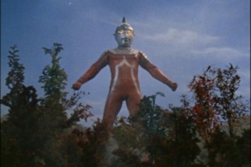 PDVD_023.jpg
