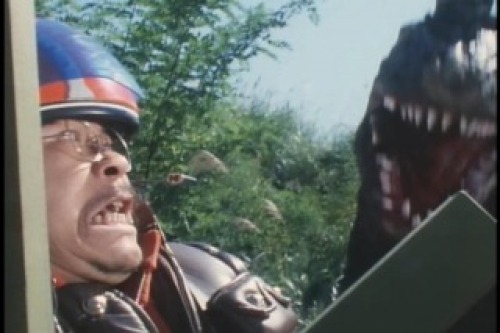 PDVD_019.jpg