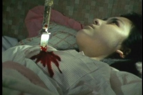 PDVD_004.jpg