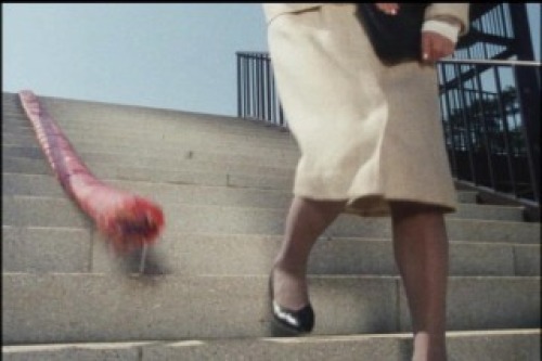 PDVD_023.jpg