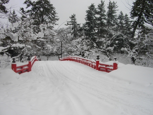 弘前城杉の大橋 (1) (500x375).jpg