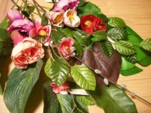 DSCN1597 (300x225).jpg