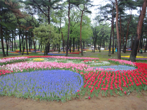 ひたち海浜公園17.jpg