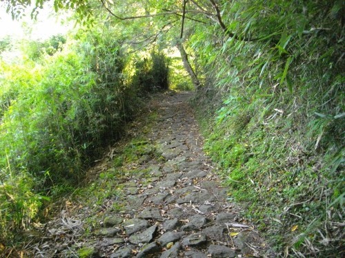 東海道箱根宿須雲川自然探勝歩道 (5) (500x375).jpg