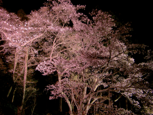 岩観音5.jpg