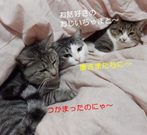 20150120_5.jpg