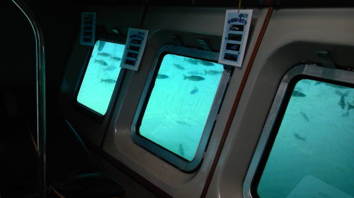 DVC00081.JPG