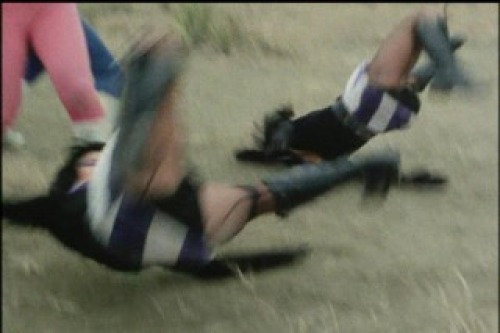 PDVD_035.jpg