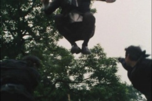 PDVD_029.jpg